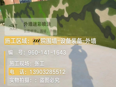 临沧 迷彩漆喷涂价格（按平方米计费）